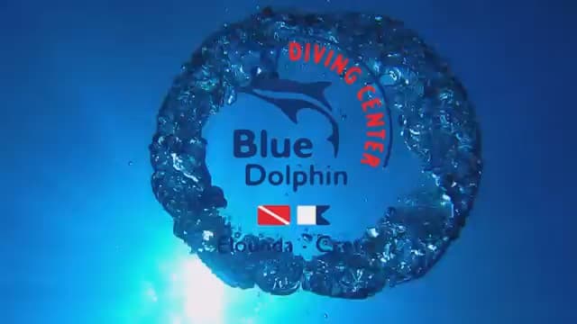 Blue Dolphin Diving Center